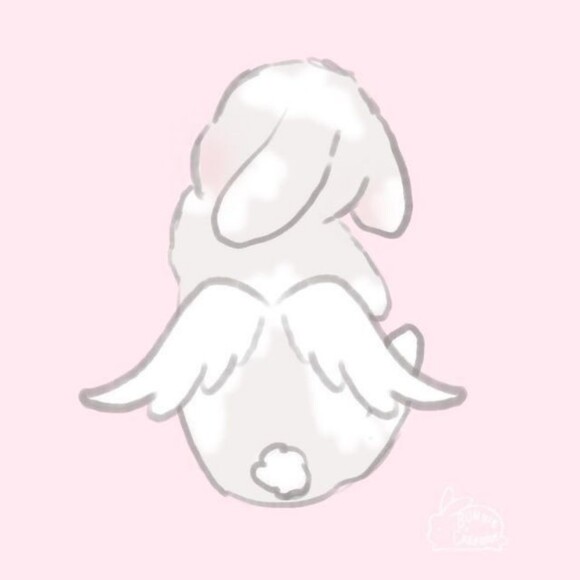 kay07828